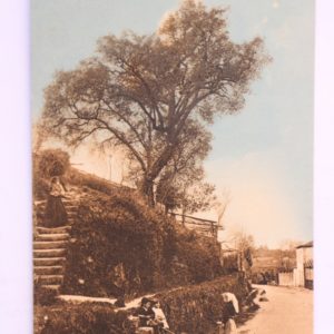 Arredores do Convento de Vairão - postal